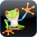 Rainbow Tree Frog Switch Apk