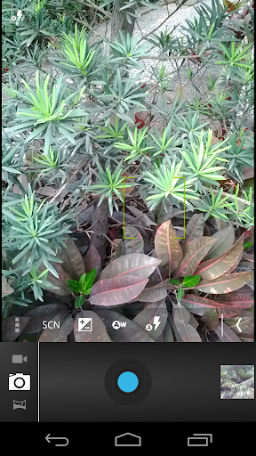 Camera for Android Nexus
