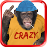 Bad Talking Monkey Application icon