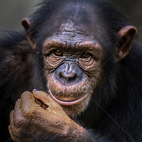 by Binoka Nadiranga - Uncategorized All Uncategorized