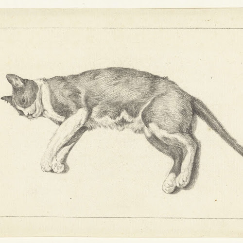 Oppervlakkig brandstof Communistisch Liggende kat, naar links, van boven gezien, Jean Bernard, 1775 - 1833 -  Rijksmuseum
