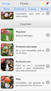 Download iBoletaire APK for Android
