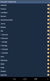 German Holy Bible poster 12