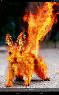 Lastest Fiery Squirrel Live WP APK