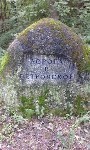 Дорога в Петровское
