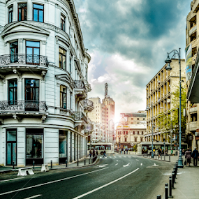 Calea Victoriei by Victor Radulescu - City,  Street & Park Street Scenes