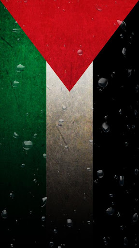 Palestina flag water effect