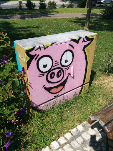 Pink Pig Box