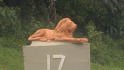 Hilltop Lion