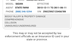 Car Insurance Florida State Farm
