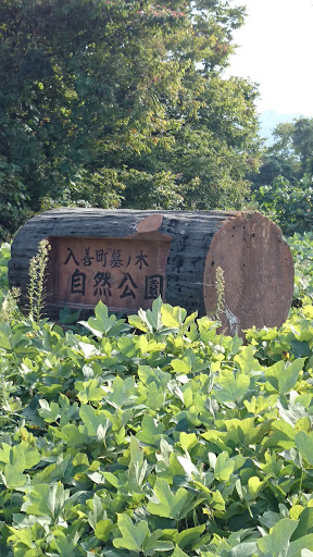 墓ノ木自然公園