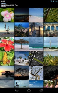 Lastest Island Life Pro APK