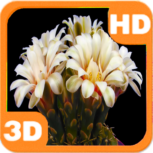 Blooming Flower Cactus Buds 個人化 LOGO-阿達玩APP