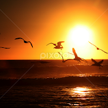 Sunset by John Phielix -  