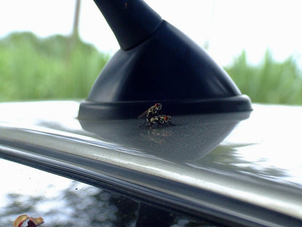 [Ê Ï i"-04[2].jpg]