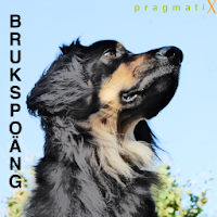 Изображения Brukspoäng на ПК с Windows