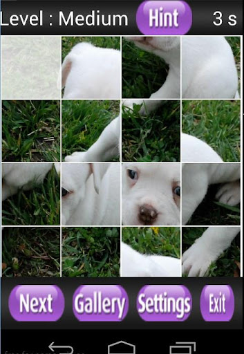 【免費解謎App】American Bulldog Puzzle Games-APP點子