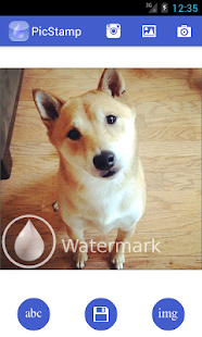 PicStamp - Instagram watermark