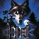 Wolves Family Reflect In Water