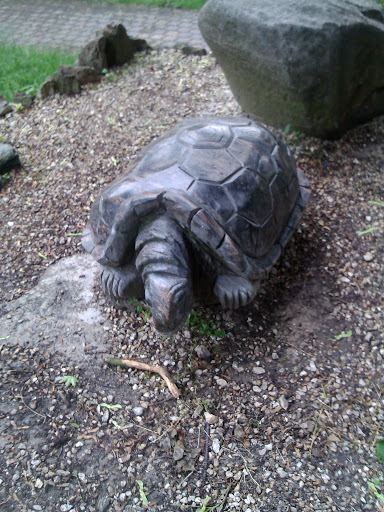 Rzeźba Żółwia W Parku