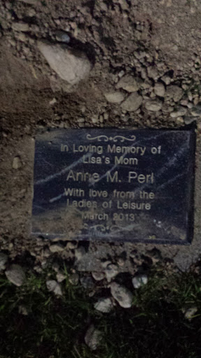 Lone Mountain Park Anne Perl