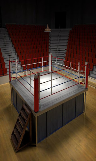 Boxing Fight Game
