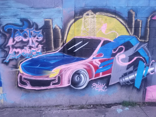 Auto Graffo 