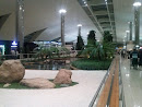 Oasis In Terminal 3