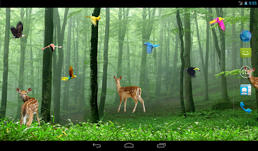 Free Download Rain Forest Live Wallpaper APK