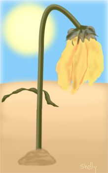 Wilting