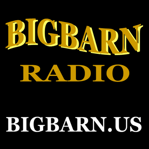 BIGBARN Radio LOGO-APP點子