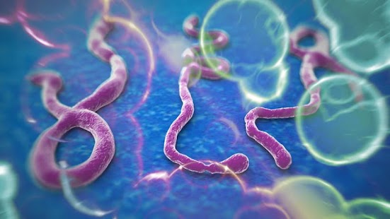 How to install Facts on Ebola Virus 1.0 unlimited apk for android
