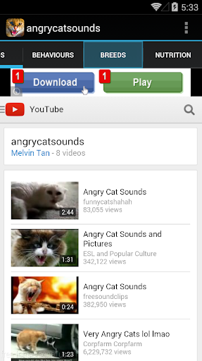 Angry Cat Sounds