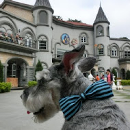 大黑松小倆口 - 埔里元首館