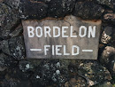 Bordelon Field