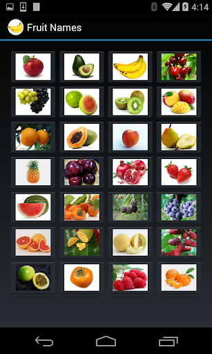 Fruit Names 4 line display
