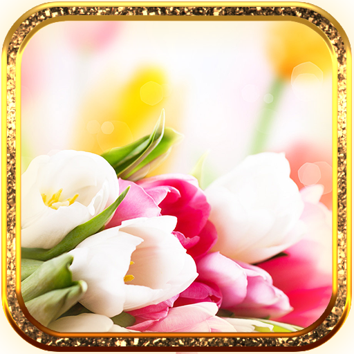 Noble Tulips live wallpaper 個人化 App LOGO-APP開箱王