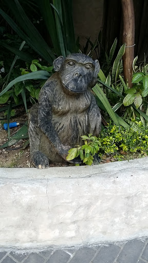 The Ape Statue