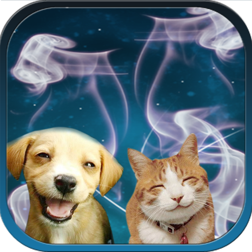 Довольные кошка с собакой. Cat sound dog. Домашние животные. Звуки кошек на английском. Переводчик для собак.