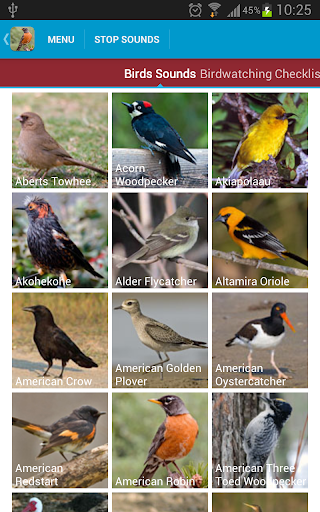 免費下載教育APP|North American Birds Sounds app開箱文|APP開箱王