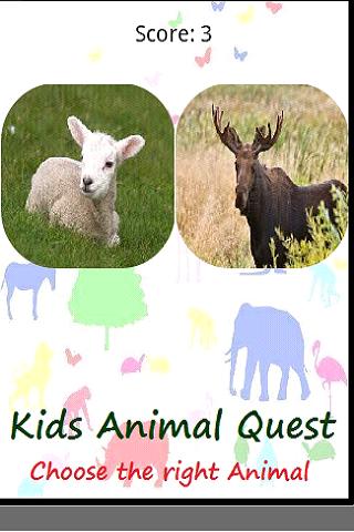 Kids Animal Quest Match Sounds