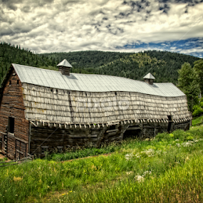 Barn by Tammy Arruda - Buildings & Architecture Decaying & Abandoned