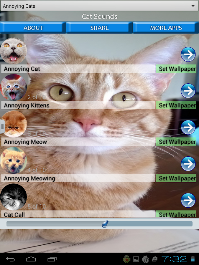 kedi sesleri ve görüntüleri Google Play�de Android Uygulamaları