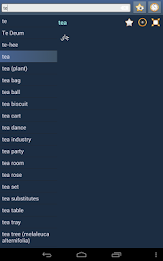 English Persian dictionary poster 8