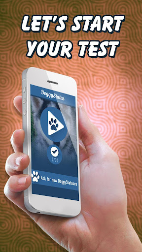 【免費模擬App】Какой ты пес?-APP點子