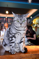 歐塔克手烘咖啡專賣