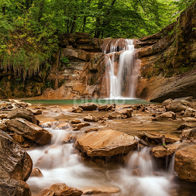 by Alexander Bakhur - Landscapes Forests