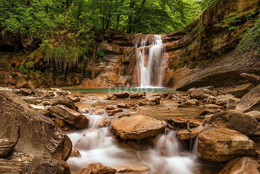 by Alexander Bakhur - Landscapes Forests