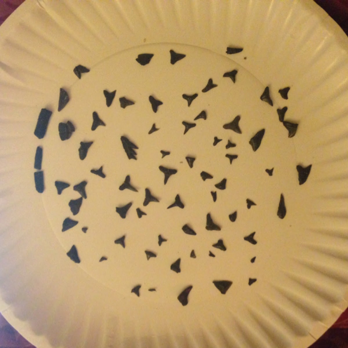 Shark teeth finds from today's beach trip. 9 o'clock could be some stingray barbs. I found something else really cool that looked like a vertebrae or something strange. Will see if I can get a decent pic if it. Lots of little teeth! Fun times.  :)
