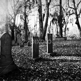 The Waiting by April Gorniak - City,  Street & Park Cemeteries